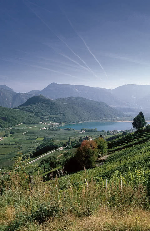 Naturlandschaft im Südtirol im Herbst